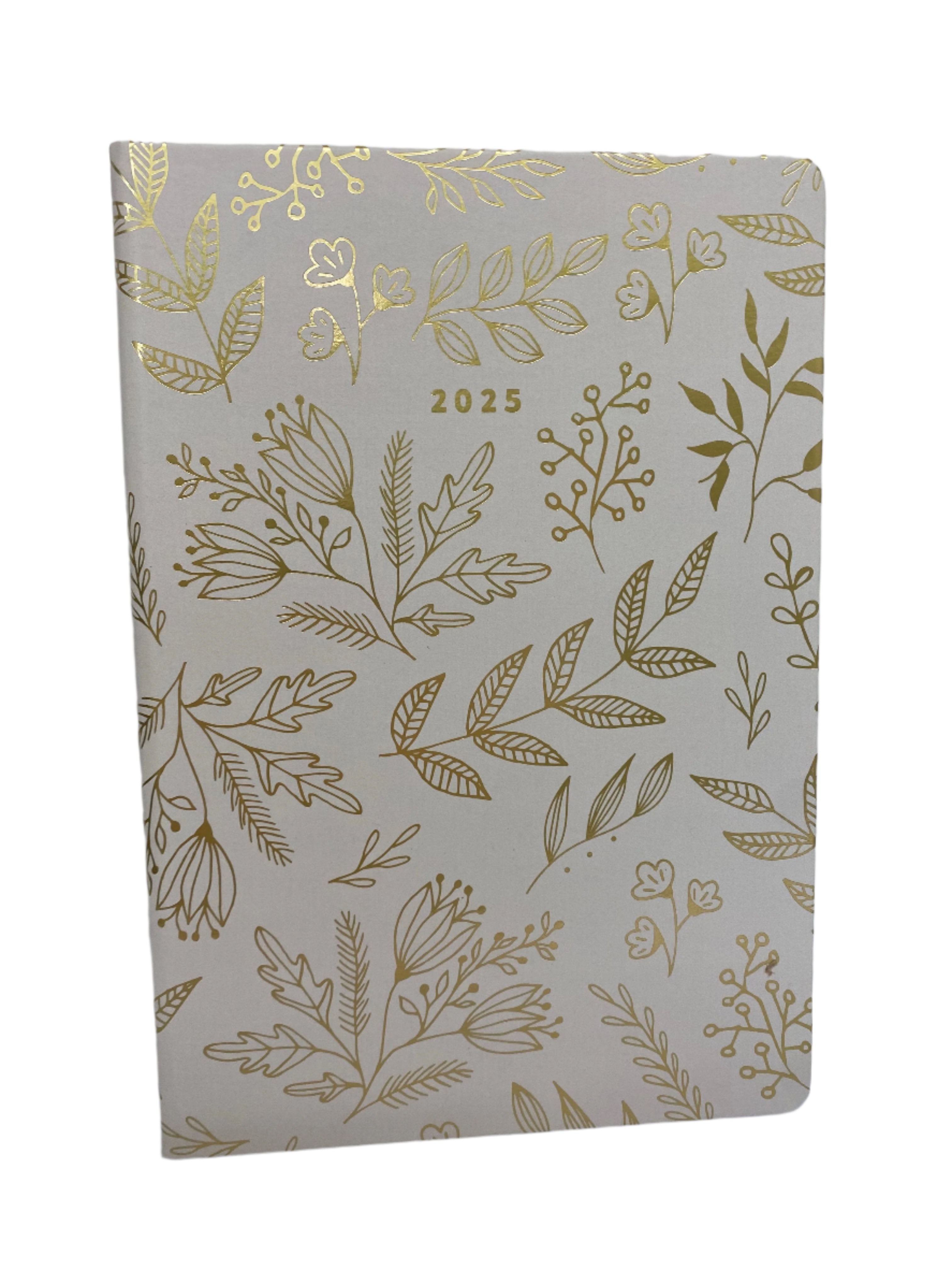 Carnegie Diaries 2025 Printed Dairy