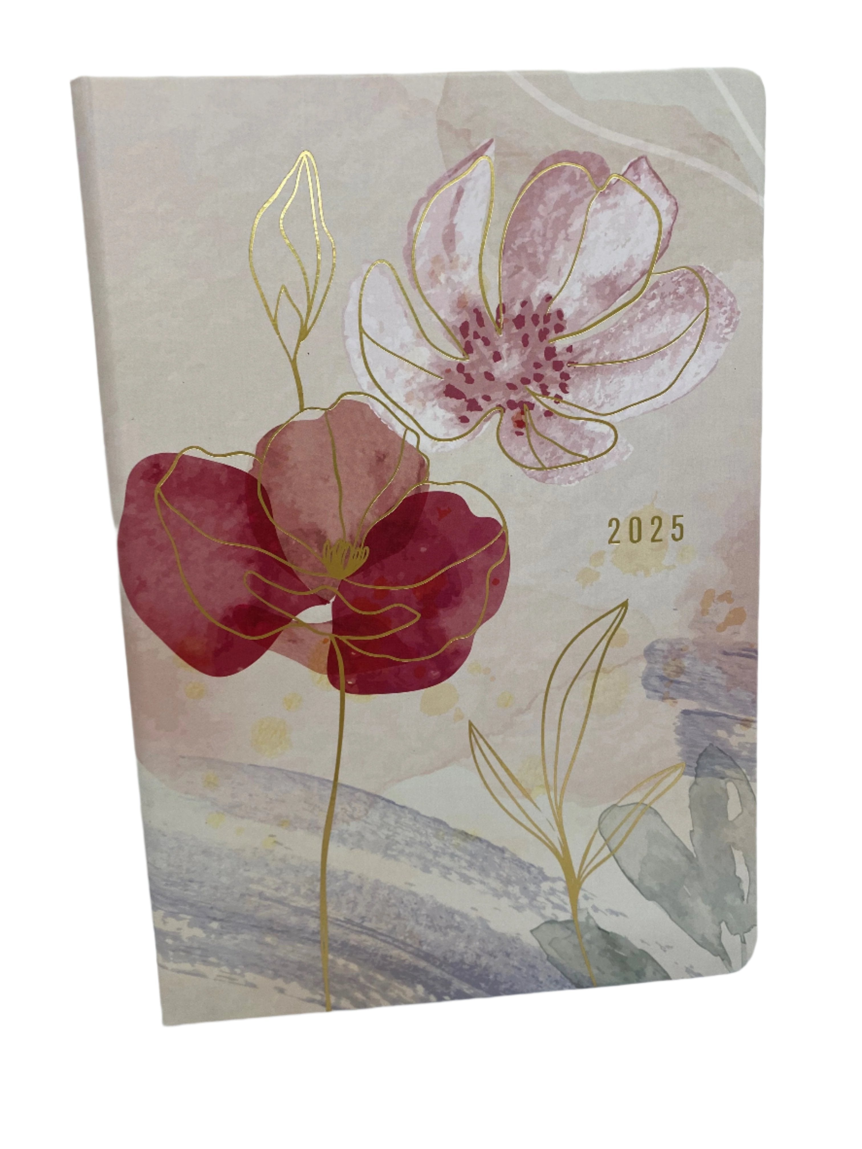 Carnegie Diaries 2025 Printed Dairy